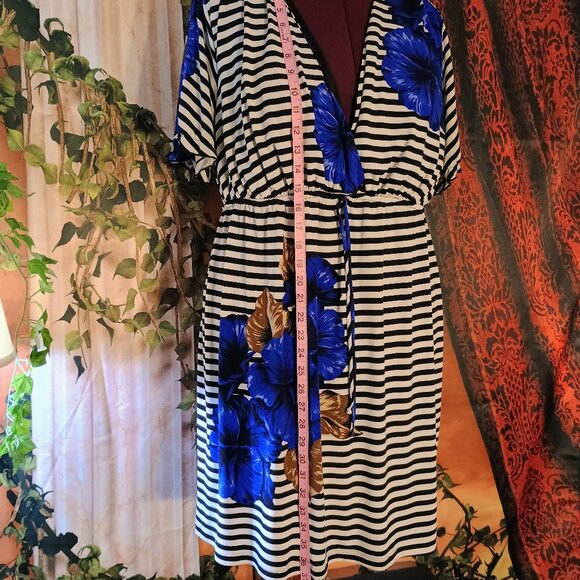 EUC: En Focus Studio Sze 20W Black & White Striped Blue Floral Dress - Picture 5 of 6